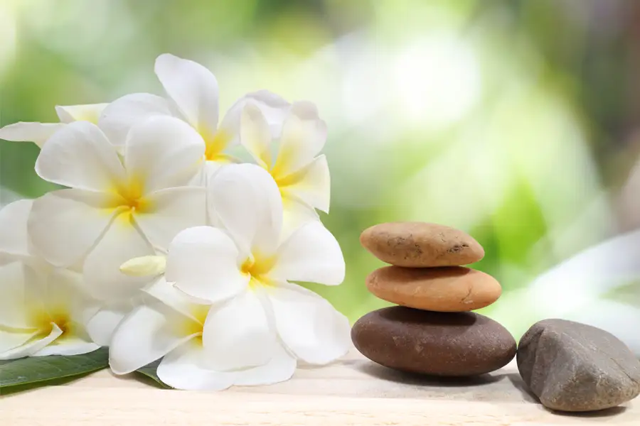 jardín zen con flores y piedras en equilibrio